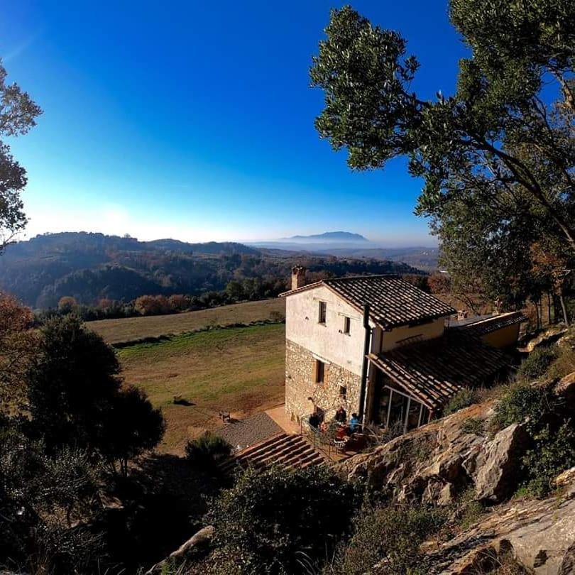 Appartement La Casa Del Tartufo à Torri in Sabina Extérieur photo