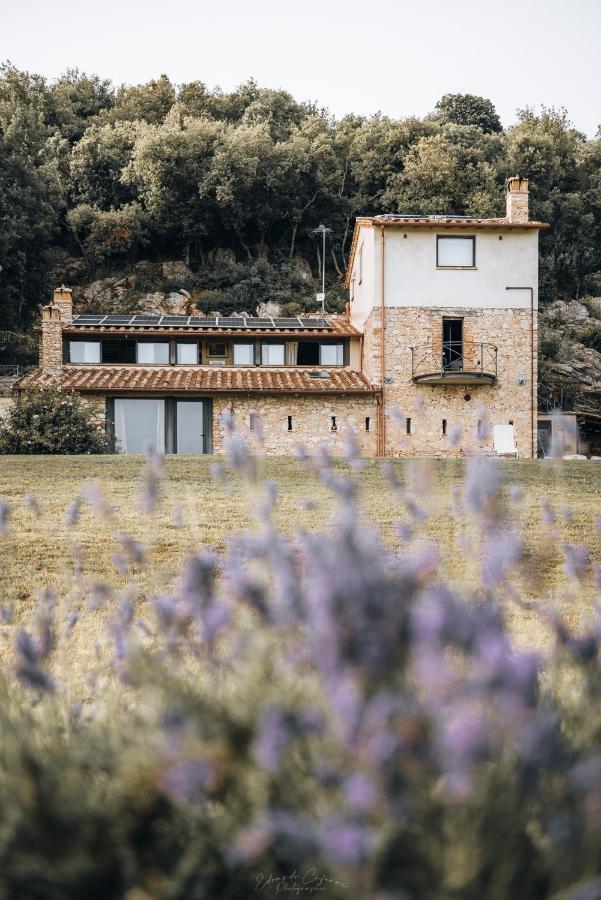 Appartement La Casa Del Tartufo à Torri in Sabina Extérieur photo